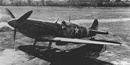 309th Spitfire